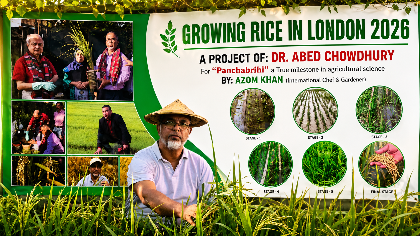 লন্ডনের মাটিতে এক টুকরো জগন্নাথপুরের হাওড় ধানক্ষেত (বাংলাদেশ)