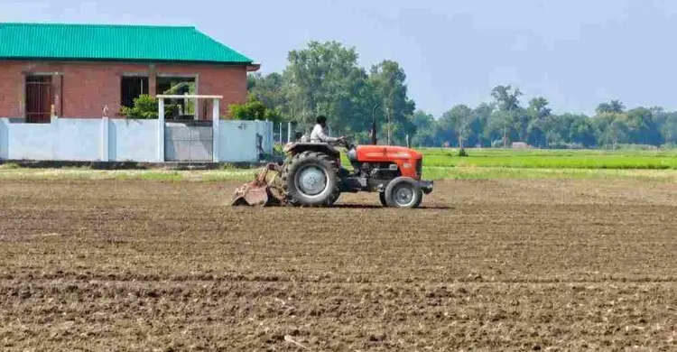 উল্লাপাড়ায় শিশুদের খেলার মাঠ দখল করে চাষাবাদের অভিযোগ জামায়াত নেতার বিরুদ্ধে